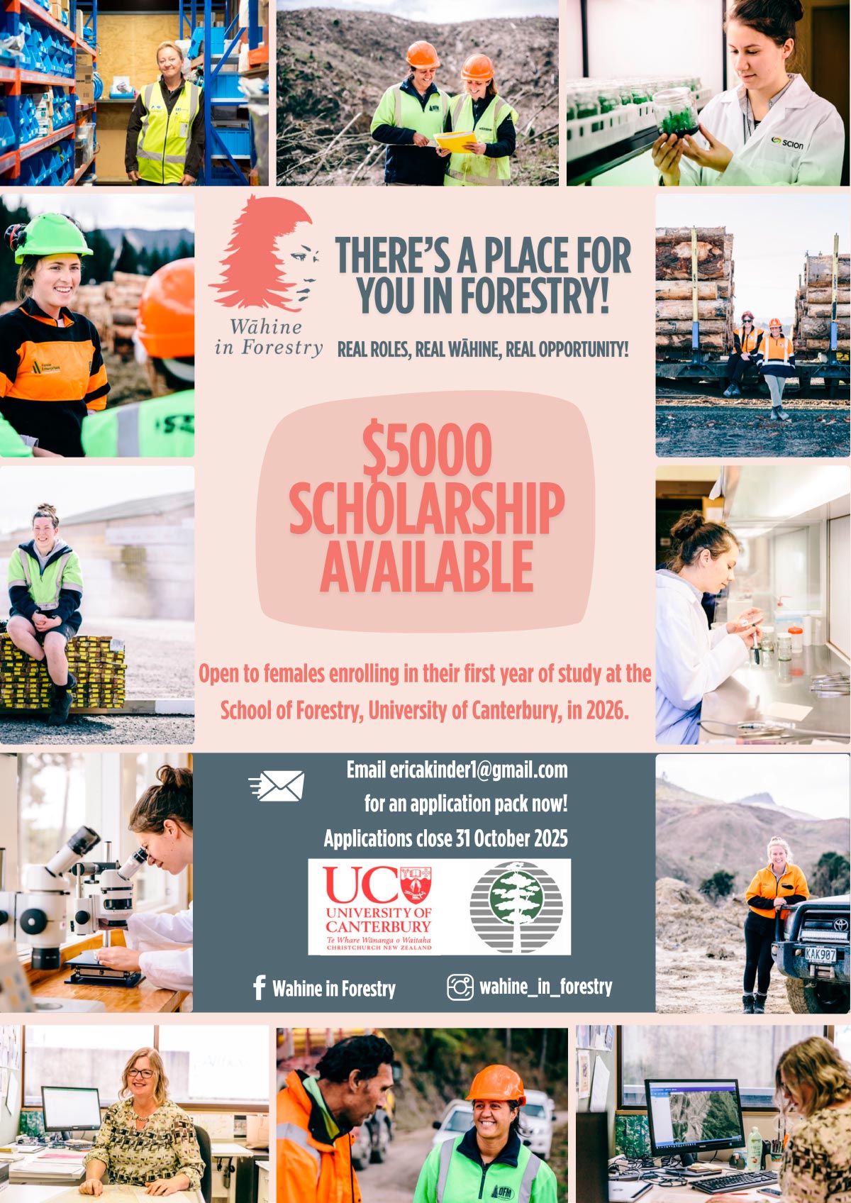 WIF-Scholarship-Poster